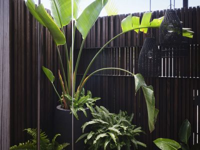 201901-n80-webvertical
