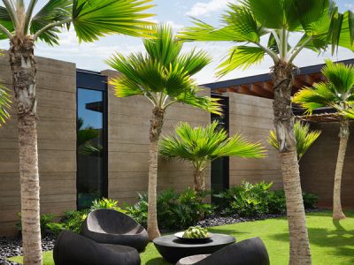 LowerRes_Maui_Leverone_WalkerWarner_013